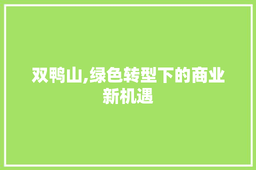 双鸭山,绿色转型下的商业新机遇
