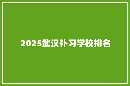 2025武汉补习学校排名
