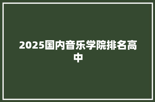 2025国内音乐学院排名高中