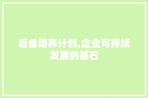 后备培养计划,企业可持续发展的基石