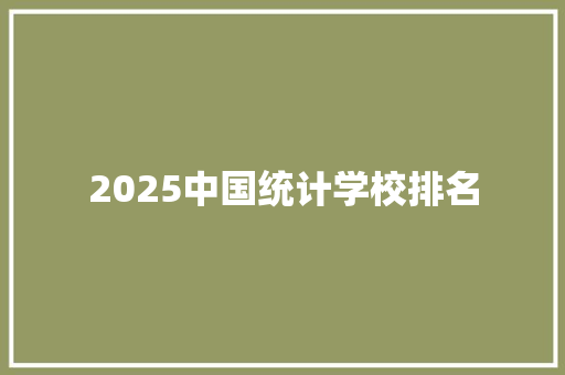 2025中国统计学校排名