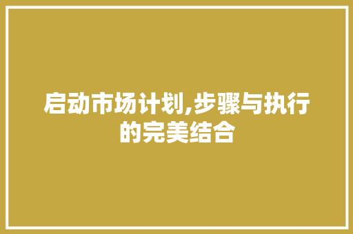 启动市场计划,步骤与执行的完美结合