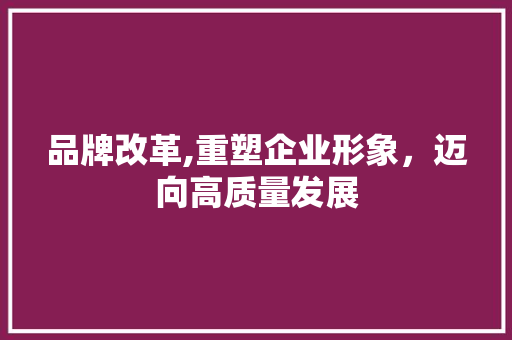品牌改革,重塑企业形象，迈向高质量发展