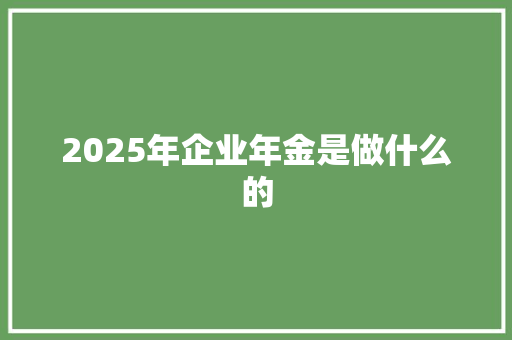 2025年企业年金是做什么的