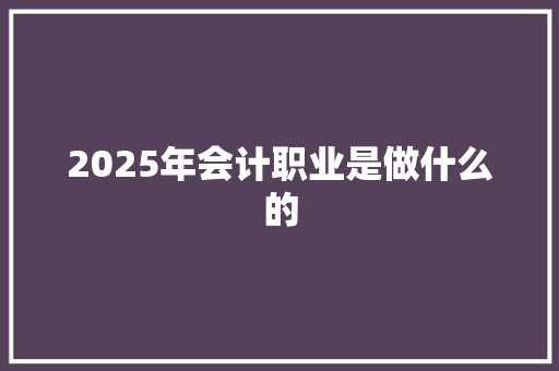 2025年会计职业是做什么的 工作类