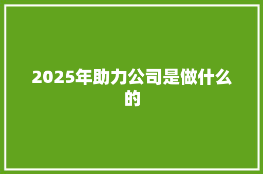 2025年助力公司是做什么的