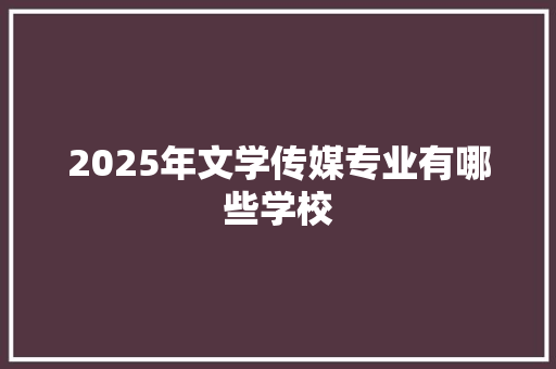 2025年文学传媒专业有哪些学校
