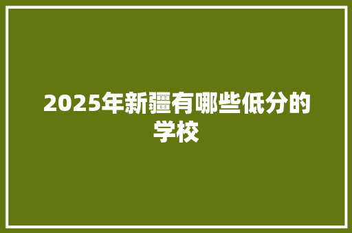 2025年新疆有哪些低分的学校