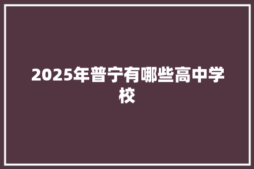 2025年普宁有哪些高中学校