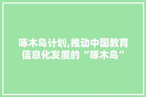 啄木鸟计划,推动中国教育信息化发展的“啄木鸟”