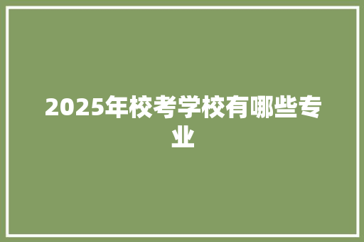 2025年校考学校有哪些专业