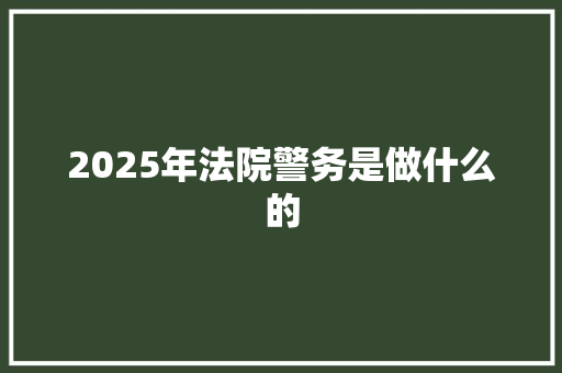 2025年法院警务是做什么的