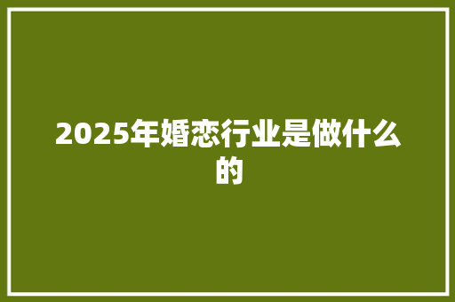 2025年婚恋行业是做什么的